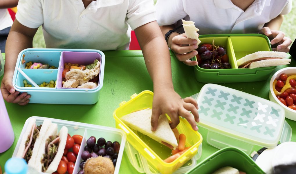 Healthy lunch box ideas 2024 - Delicious ideas for Kids Nutritious Meal